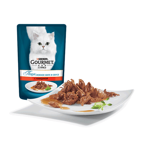 Нежное филе в соусе с говядиной