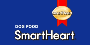 Smart Heart